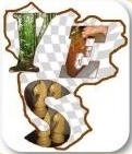Logo du Comité des Échecs des Yvelines